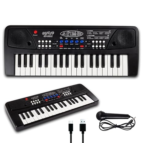 Gooyo GY-430A1 Portable Musical Piano Keyboard with Microphone