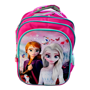 3D Frozen Colorfull Lights School Bag (3 in 1)