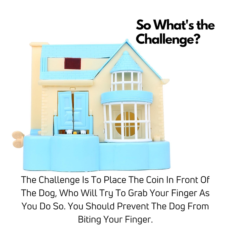Puppy House Dog Collecting Coin, Kids Piggy Bank (Blue)