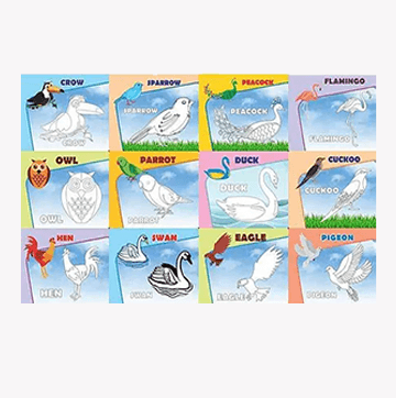 Ankit 2 in 1 Colour & Clean Set