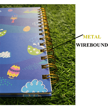 Car Pop It Diary