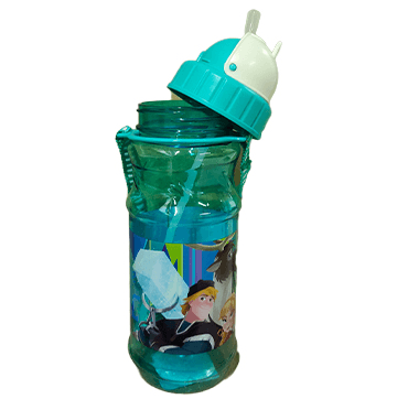 Disney frozen bottle
