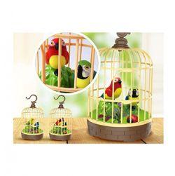 Kids Singing Moving Chirping Beautiful Electronic Bird Pet Toy in Cage