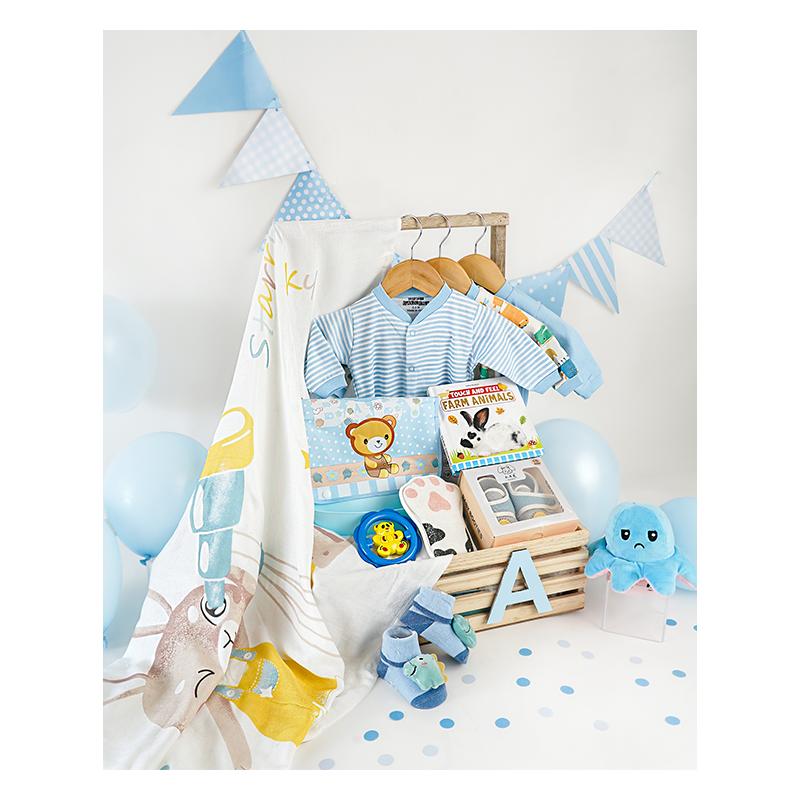 Ilearnngrow Blue Hues Baby Boy Hamper