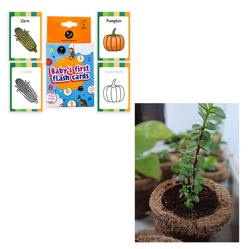 Ilearnngrow DIY Gardening Kit & Vegetables Flash Cards (Pack Of 2)