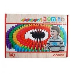 100 pc Dominos Multi Color Wooden Blocks Set
